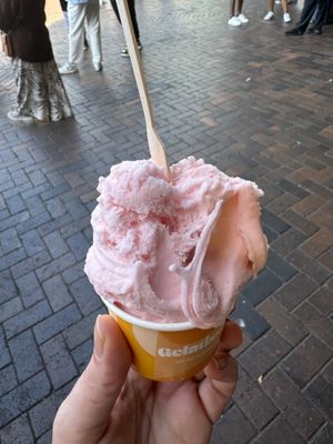   at Gelatissimo - Circular Quay in Sydney