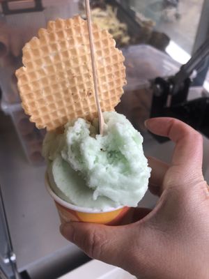 Green apple  at Gelatissimo - Circular Quay in Sydney