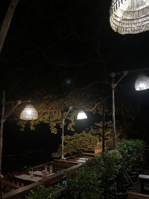   at Cabbages & Condoms in Pattaya