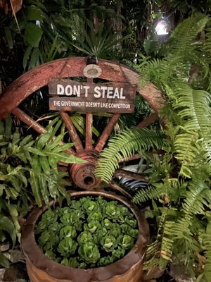   at Cabbages & Condoms in Pattaya