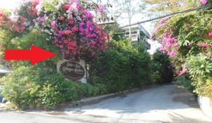 Entrance at Cabbages & Condoms in Pattaya