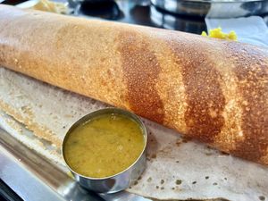 Paper Dosa - a thing of beauty 😍  at Saravana Bhavan in Sunnyvale