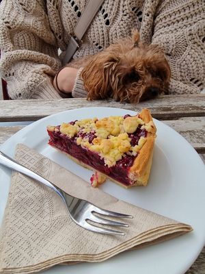 Sour cherry pie at Flow Specialty Coffee Bar & Bistro in Budapest