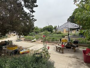 Garden!  at One Grub Community in El Paso