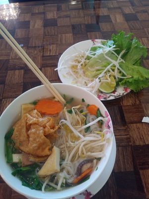 So so very good. First time here, so I don't know what this is called, but it is delicious! at DaNang Veget in Duluth