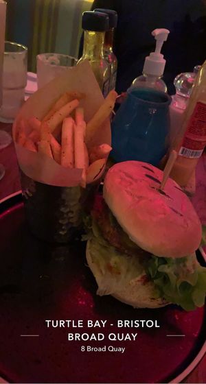   at Turtle Bay in Bristol
