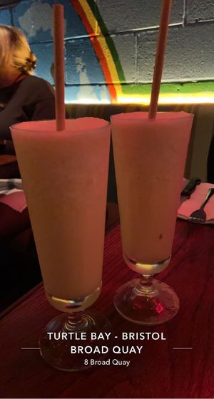   at Turtle Bay in Bristol