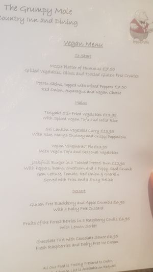 Vegan menu at The Grumpy Mole in Cheam