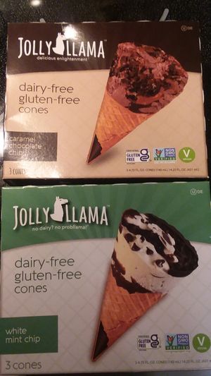 Vegan gluten-free ice cream cones at Sprouts Farmers Market in Naples