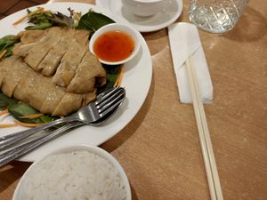 Crispy vegan chicken & rice at Tian Ci Vegan in Darlington