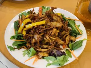 Mongolian veggie lamb at Tian Ci Vegan in Darlington
