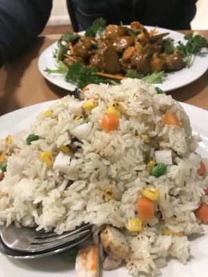 Rendang curry and seafood fried rice at Tian Ci Vegan in Darlington