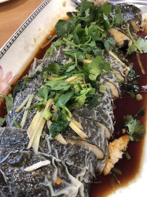 Steamed ‘Fish’ done in Cantonese style  at Tian Ci Vegan in Darlington