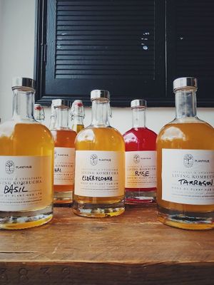 Home made Kombucha at Plant Club in North London
