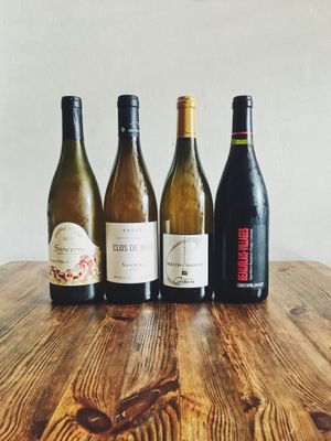 Organic Natural Wines at Plant Club in North London