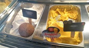 Vegan coconut at Gelatissimo in Cheltenham