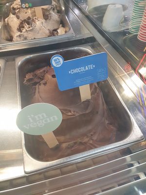 Vegan choc at Gelatissimo in Cheltenham