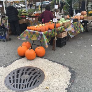 Pumpkins at Farmer's Market - East Harlem in New York City