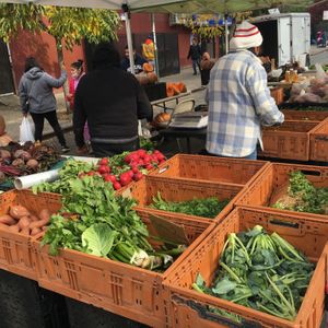 Greens. at Farmer's Market - East Harlem in New York City
