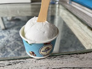 Coconut ice cream   at Gourmet Gelato - Jl. Monkey Forest in Ubud