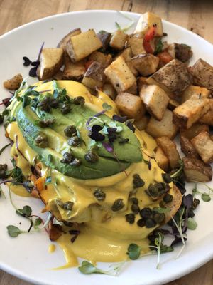 Salmon Benny at Verdura in Phoenix