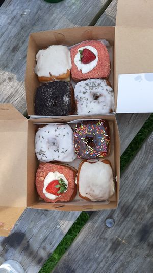 My favourite flavours😍 at The Vegan Doughnut Company in Lakewood