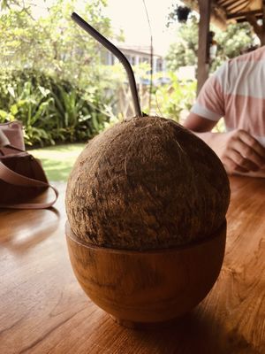  Cold Coconut 🧉  at Kayu Lembongan in Lembongan