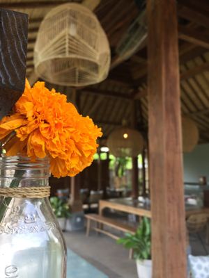 The interior of Kayu Lembongan at Kayu Lembongan in Lembongan