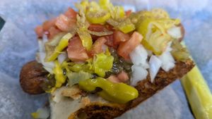 Chicago dog at Dogtown in Rochester