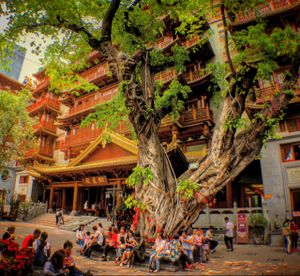 1. the entrance is the grey door on the right at DaFo Vegetarian in Guangzhou