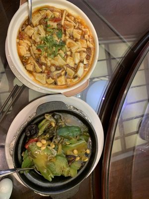 Mapo tofu and bitter melonn  at DaFo Vegetarian in Guangzhou