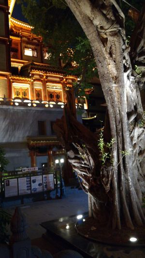 Beautiful inner courtyard at DaFo Vegetarian in Guangzhou