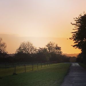 My walk on their driveway at 7.30am :) at Lut's B&B in South Hykeham