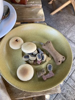 Dog biscuits!!! at Plantarium Cafe in Stratford-upon-avon