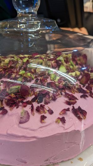 Cake at Plantarium Cafe in Stratford-upon-avon