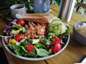 Mexican tofu salad with side of sauerkraut. at Plantarium Cafe in Stratford-upon-avon
