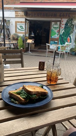   at Plantarium Cafe in Stratford-upon-avon