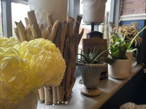   at Plantarium Cafe in Stratford-upon-avon