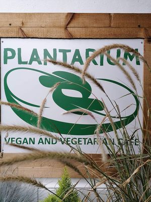  at Plantarium Cafe in Stratford-upon-avon