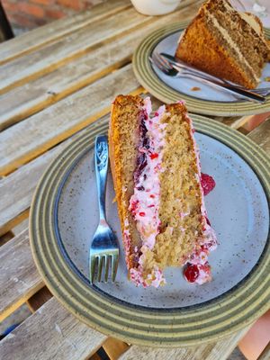Raspberry cake at Plantarium Cafe in Stratford-upon-avon