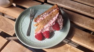 raspberry cake at Plantarium Cafe in Stratford-upon-avon