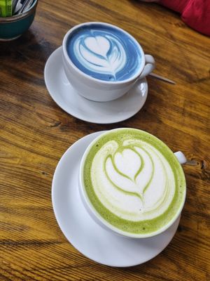  at Plantarium Cafe in Stratford-upon-avon