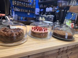   at Plantarium Cafe in Stratford-upon-avon