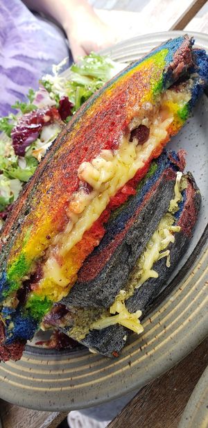 charcoal bread is usual, but extra special for pride was rainbow bread! at Plantarium Cafe in Stratford-upon-avon
