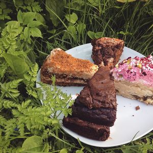 biscoff, chocolate, rose & pistachio, and apple & cinnamon cakes bought home after first visit. at Plantarium Cafe in Stratford-upon-avon