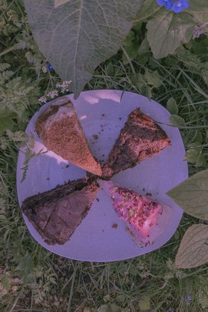 Take away cakes - apple & cinnamon, rose & pistachio, chocolate, biscoff at Plantarium Cafe in Stratford-upon-avon