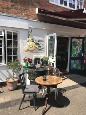 Outdoor seating  at Plantarium Cafe in Stratford-upon-avon