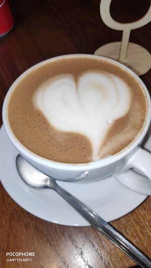 Mocha at Plantarium Cafe in Stratford-upon-avon