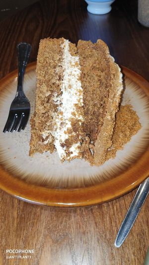 Biscoff cake was delicious at Plantarium Cafe in Stratford-upon-avon
