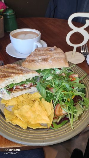 Lunch and a mocha at Plantarium Cafe in Stratford-upon-avon